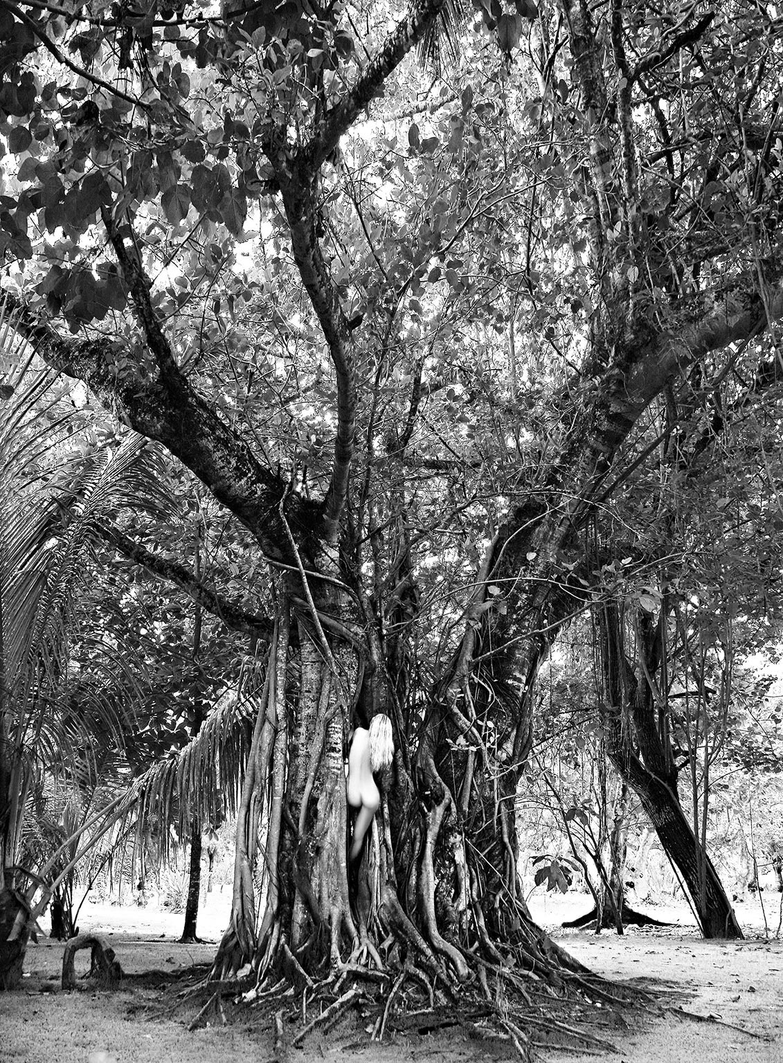 Kletterpflanze_168x228_02_Canvas